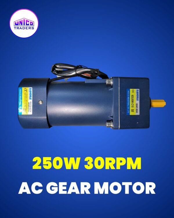 AC Gear Motor 250WATT 30RPM